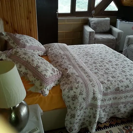 Tas Ev Butik 3* Candarli